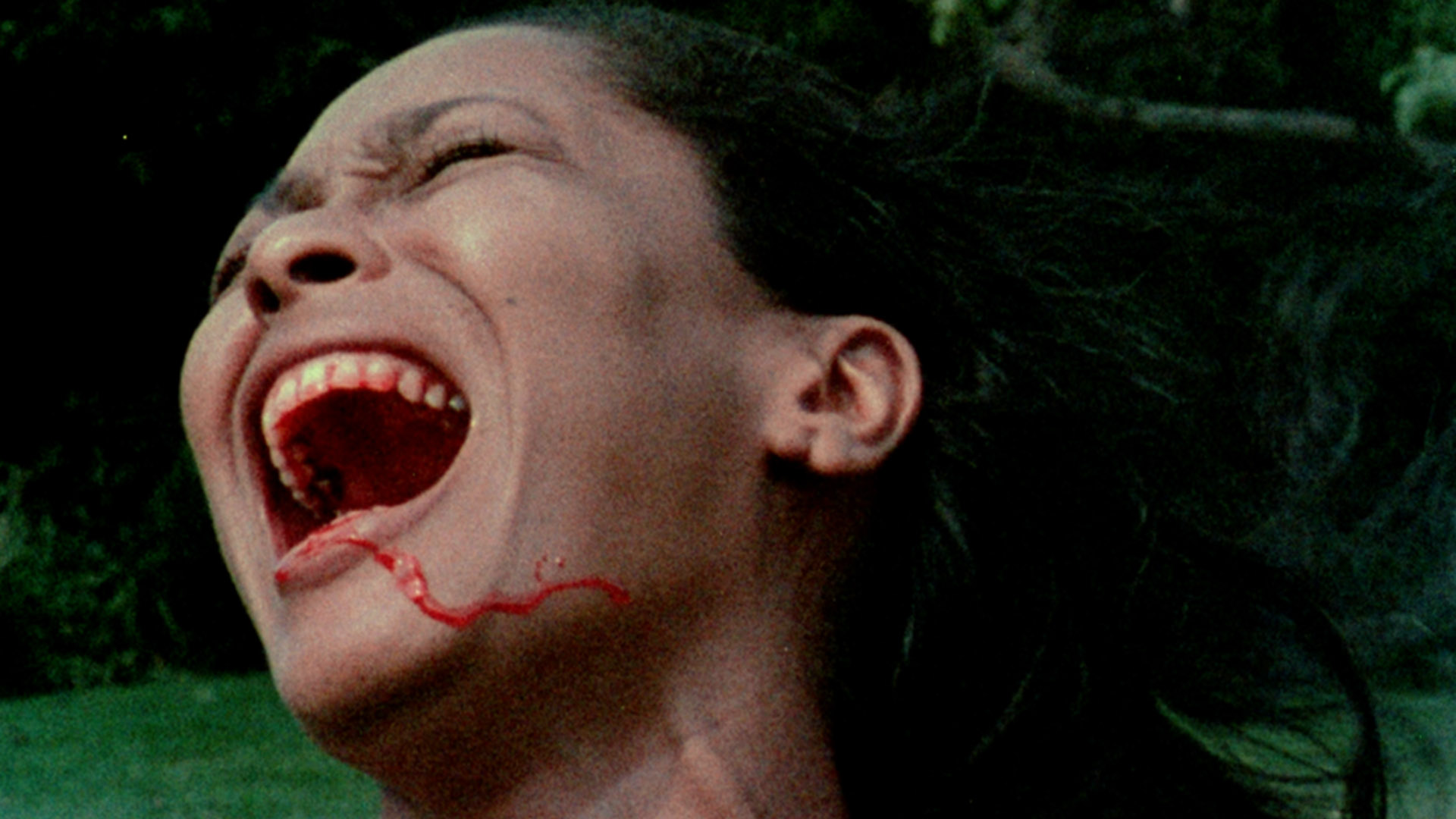 Bill Gunn&rsquo;s Afro-Surrealist Film &lsquo;Ganja & Hess&rsquo; Paved the Way For Black Horror